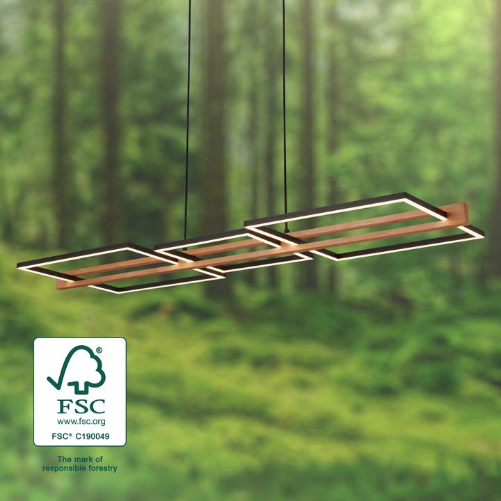 Image du produit Briloner Lampe LED suspendue, noir / bois, LED / 36W