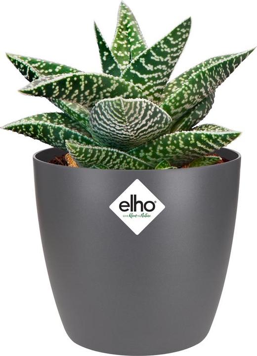 Image du produit Elho Bruxelles (10 cm)