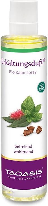 Immagine prodotto Spray per ambienti al profumo di freddo (50ml) (Getto vaporizzato, 50 ml)