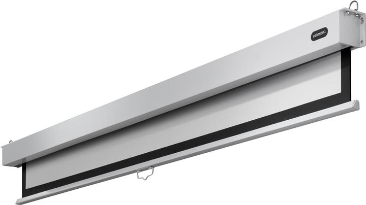 Celexon Rollo-Leinwand Professional Plus (98.43", 4:3)