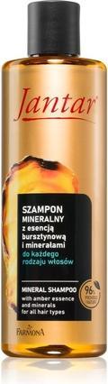 Actual product image Farmona Mineral Amber Shampoo (300 ml)