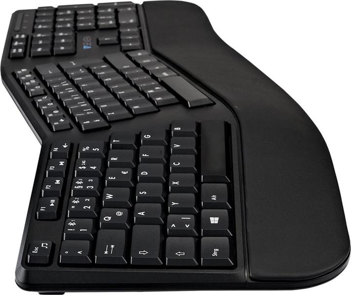 Actual product image V7 Bt Ergo Keyboard Mouse Combo En (DE, Wireless)