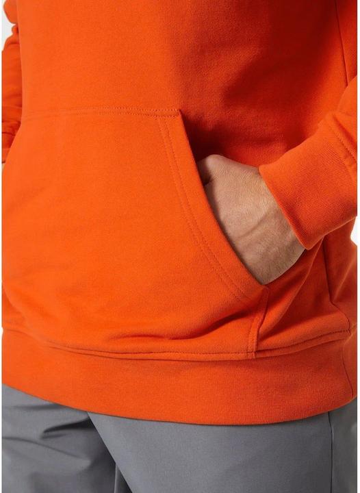 Produktbild Helly Hansen HH Logo Hoodie (M)