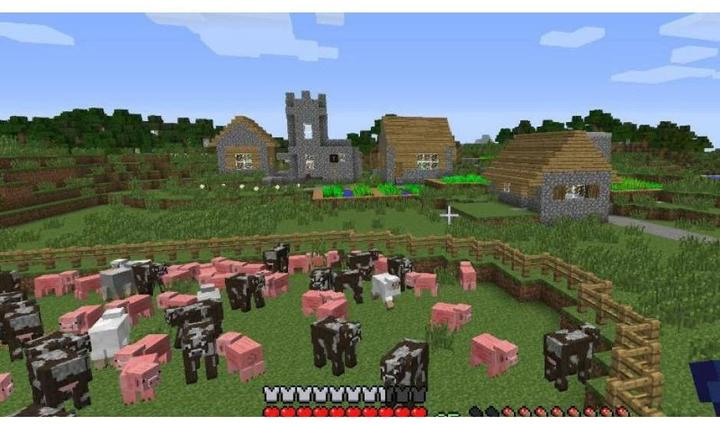 Actual product image Nintendo Minecraft (Switch, Multilingual)