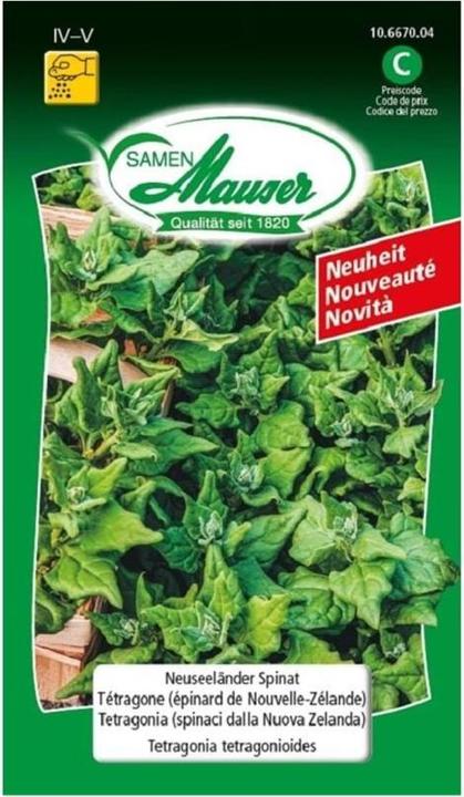 Produktbild Samen Mauser Samen Neuseeländer Spinat (Gemüsesamen)
