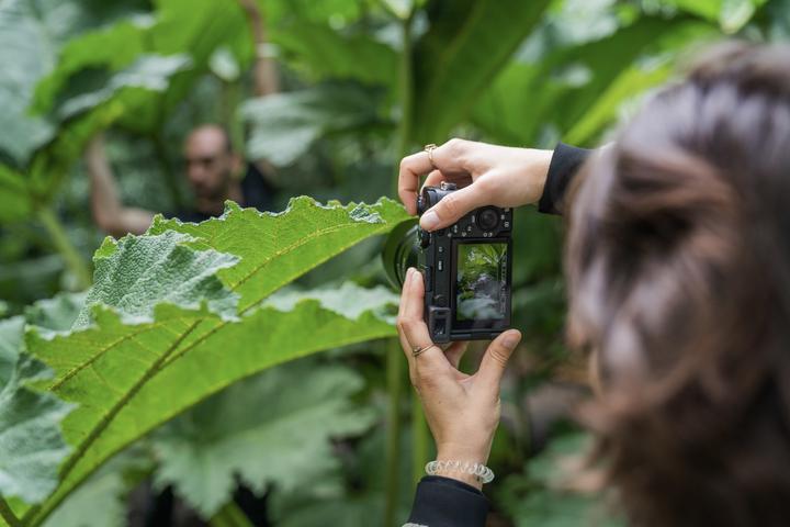 Immagine prodotto Sony Alpha 7C R (61 Mpx, Full frame / FX)