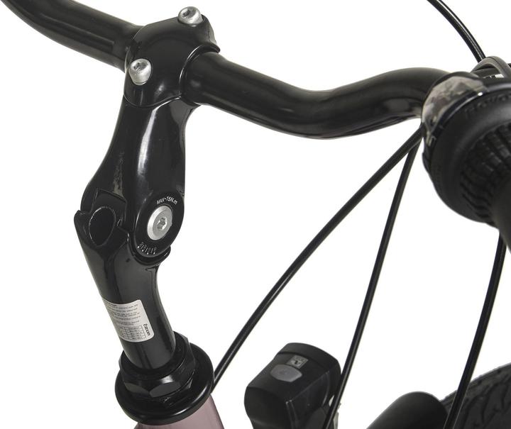 Immagine prodotto Hollandia Bicicletta olandese da donna 28" City Next RH 50 cm 6 marce (50 cm)