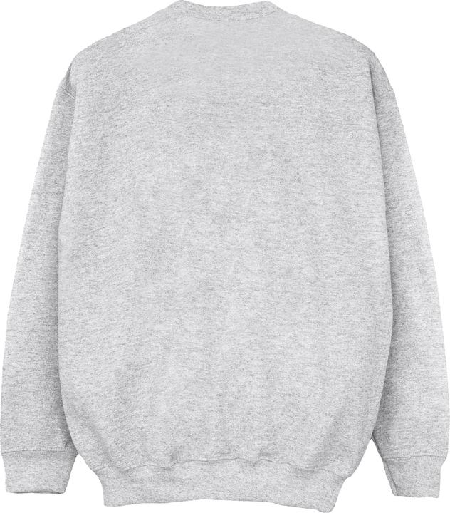 Produktbild Disney Encanto Logo Sweatshirt Mädchen (152, 158)