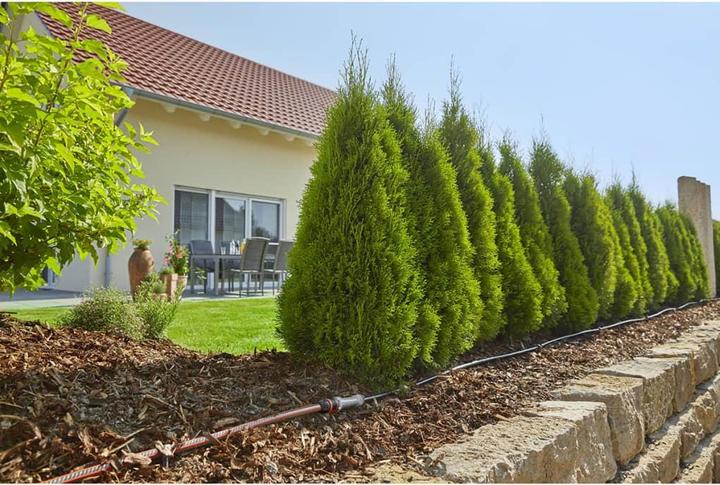Produktbild Gardena MDS Start-Set Pflanzreihen M (Tropfbewässerung Set)