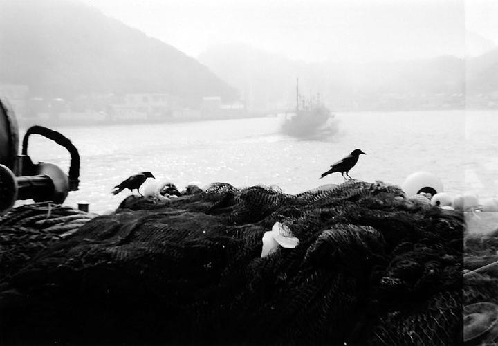 Image du produit Lomo Constructeur F
