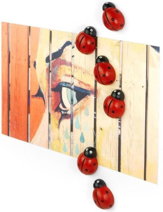Immagine prodotto Trendform Coccinella (6 x)