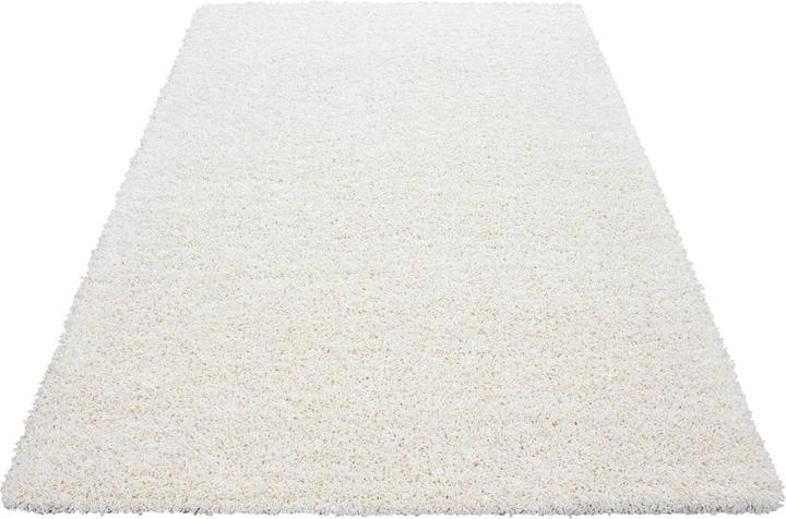 Produktbild Ayyildiz Hali LIFE Hochflor Teppich (160 x 230 cm)