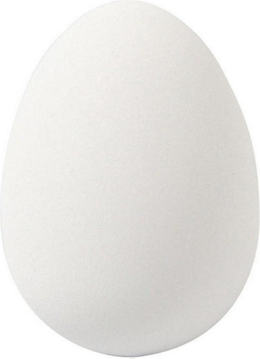 Creativ Company Oeuf de caille Plastique (18 x, 2 x 18 x 19 cm)