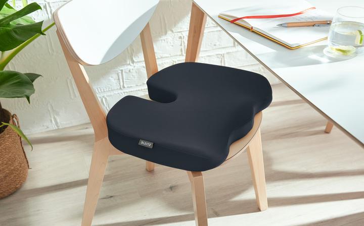 Immagine prodotto Leitz Cuscino per sedile Ergo Cosy (45,5 x 35,5 cm)