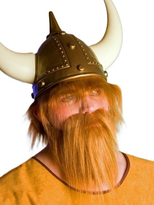 Produktbild Festartikel Müller Bart-Set Wikinger