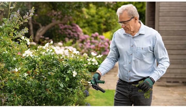 Actual product image Bosch Home & Garden EasyPrune