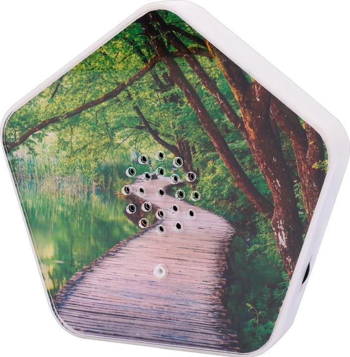 Olympia Olymp Nature BOX