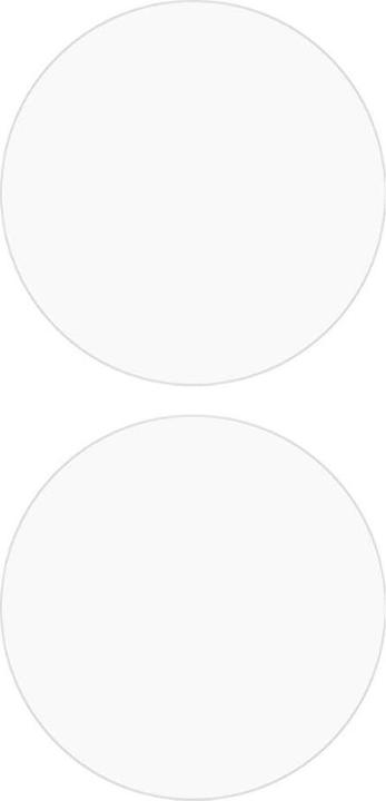 Actual product image Cover-Discount Google Pixel Watch 3 - 45mm - 2Stk. Display Schutzfolie PET