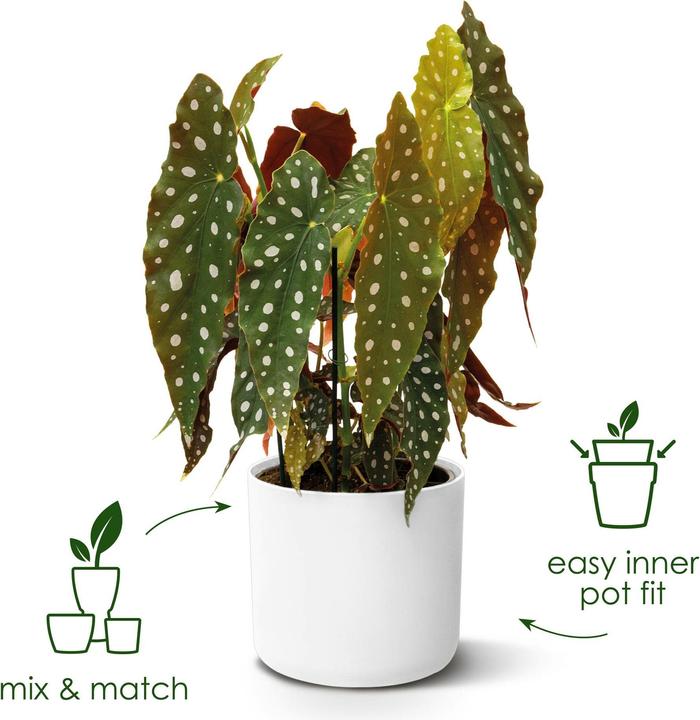 Actual product image Elho b.for soft (18.30 cm)
