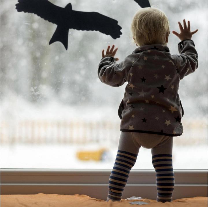 Produktbild Relaxdays Vogelaufkleber