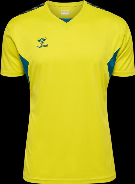 Actual product image hummel Hmlauthentic Pl Jersey S/S (XL)
