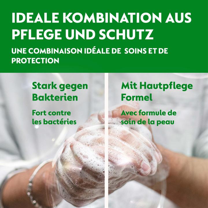 Produktbild Dettol No Touch (Handseife Nachfüllpackung, 250 ml)