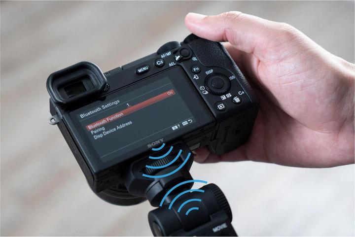 Productafbeelding Sony GP-VPT2BT (Greep)