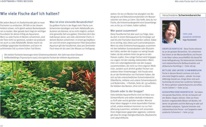 Aquariums - fun for children (Aquarium plant care)