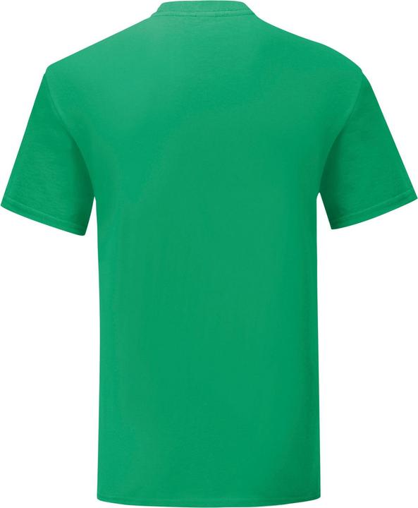 Actual product image Fruit of the Loom Mens Iconic 150 T-Shirt (M)