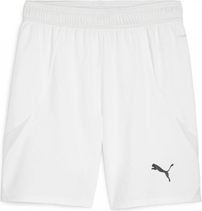 Produktbild Puma teamFINAL Shorts (L)