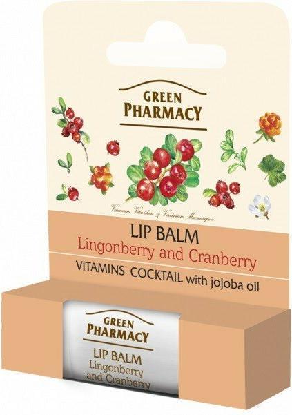Immagine prodotto Schubiger Elfa Pharm Farmacia Verde Balsamo Labbra al Mirtillo Rosso Intensamente Nutriente SPF 10 5ml (5 ml)