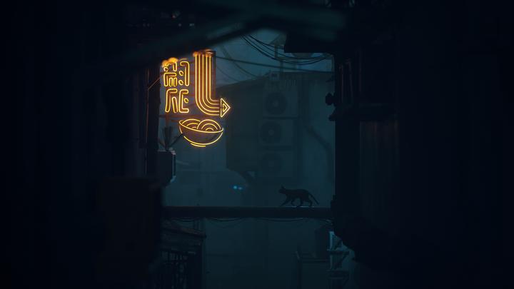Image du produit Annapurna Interactive Stray (PS5, EN)