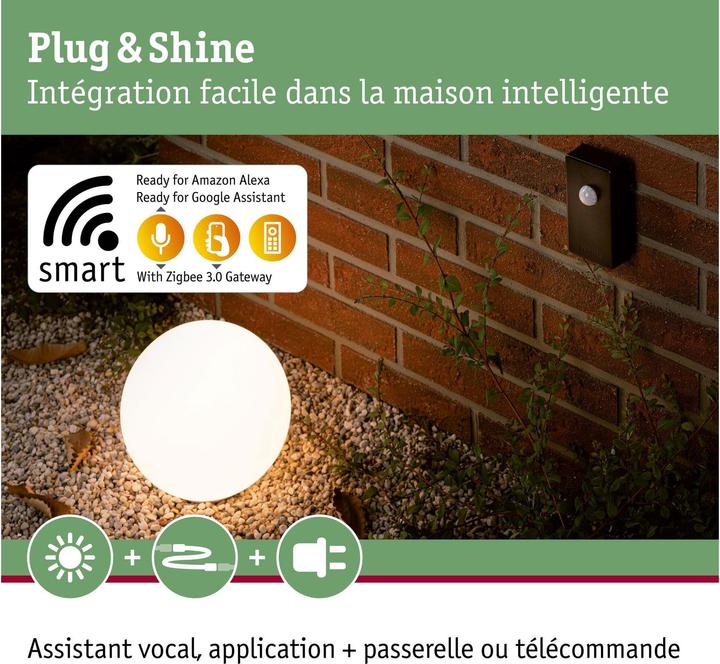 Immagine prodotto Paulmann Controllore ZigBee Plug & Shine