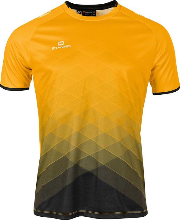 Actual product image Stanno Altius Jersey (176)