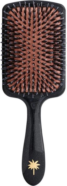 Fan Palm - Paddle Brush Large Big Star
