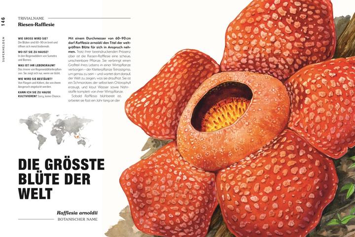 Actual product image Kuriose Pflanzen (German, Michael Perry, Reinhard Ferstl, DK Publishing House, 2023)