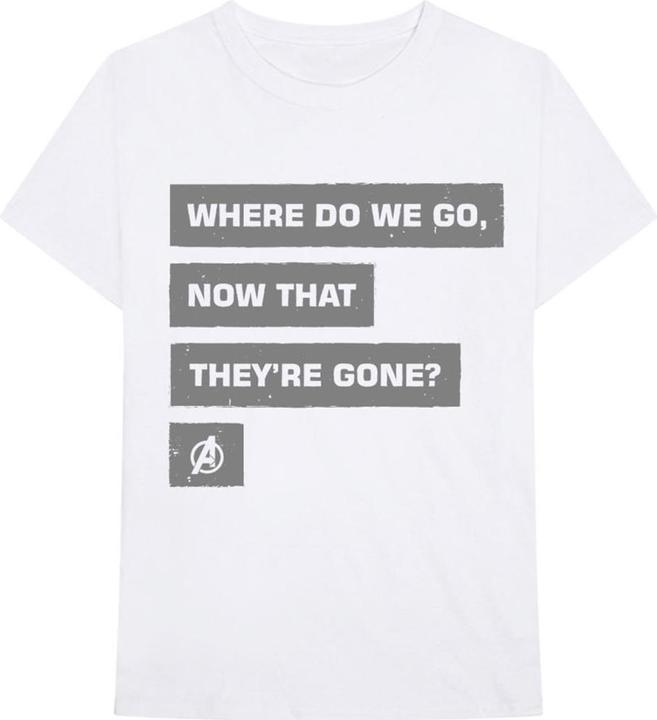 Produktbild Marvel Avengers Now That Theyre Gone (XL)