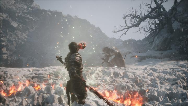 Immagine prodotto 2K Games Black Myth: Wukong (PS5, EN)