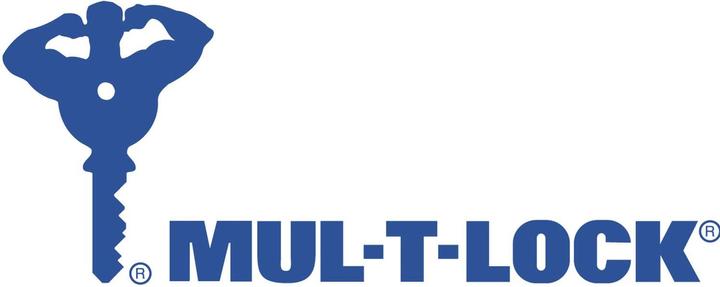Produktbild Mul-T-Lock Container-Sicherung,Profil Classic Pro2945,Einzelschliessung codiert