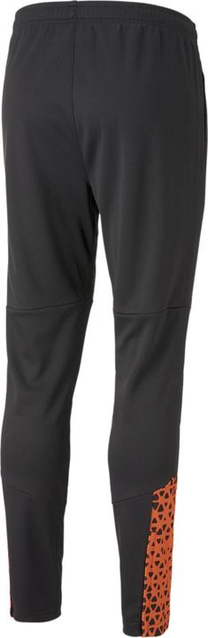 Actual product image Puma individualCUP Training Pants (L)