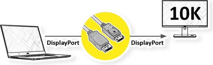 Image du produit Roline DisplayPort – DisplayPort (3 m, DisplayPort)
