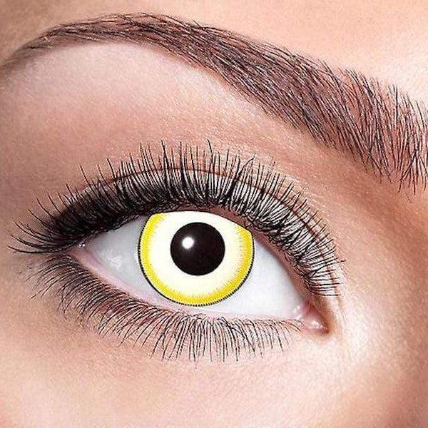 Image du produit Zoelibat Zombie (Jaune, Blanc, Gris)