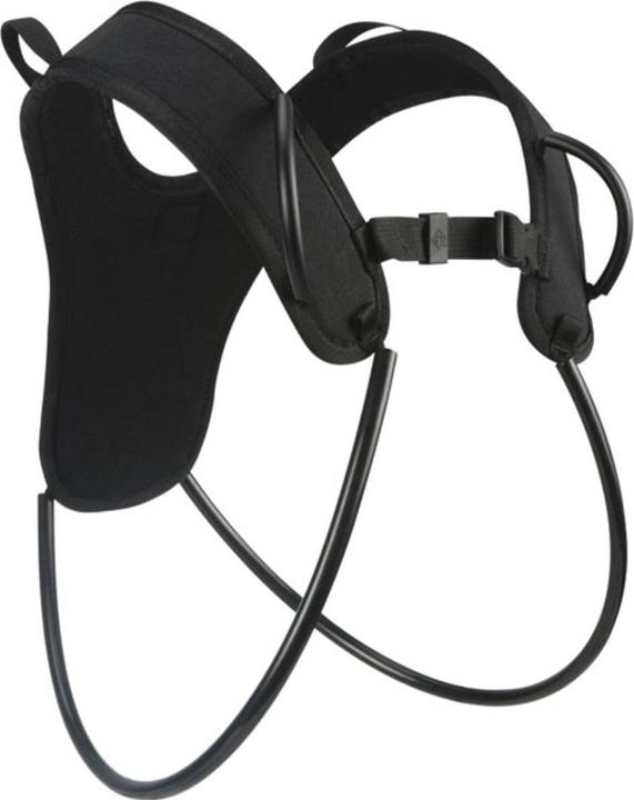 Image du produit Black Diamond Harnais Zodiac