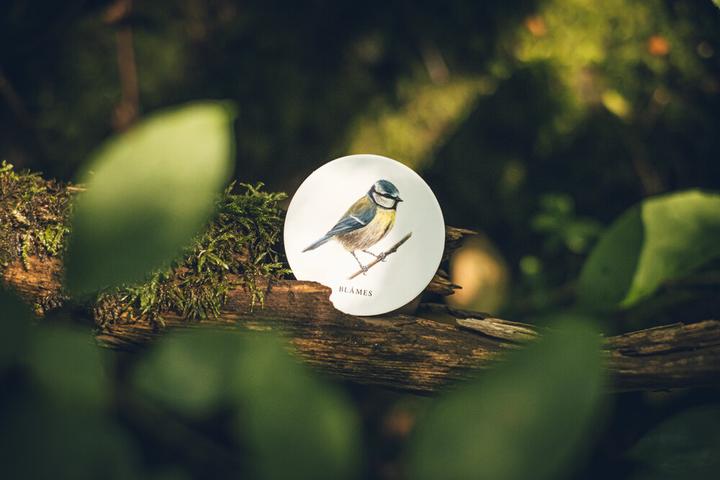 Produktbild Ninja Print Skogen (Memoryspel)