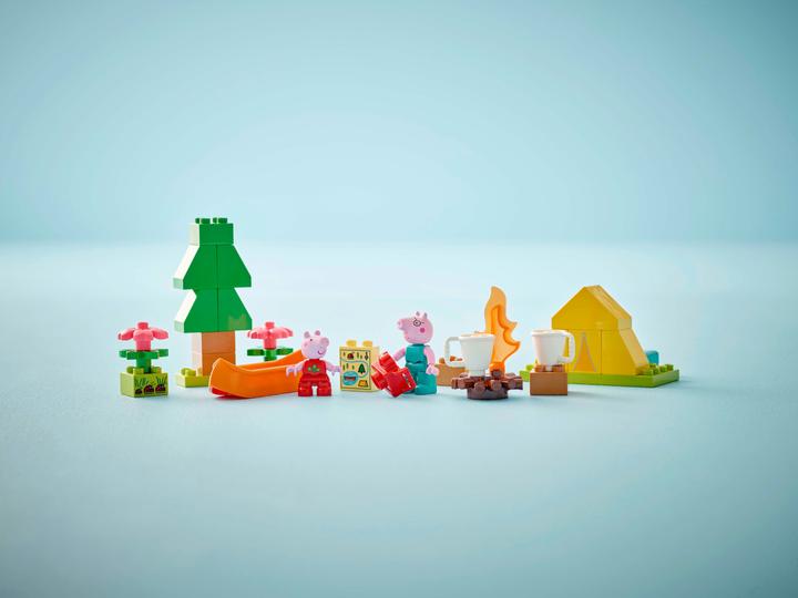 Actual product image LEGO Camping trip (10452)