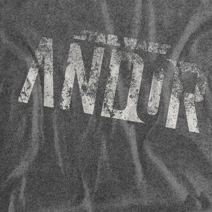 Actual product image Star Wars Mens Distressed Logo T-Shirt (XXL)