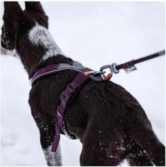 Actual product image Non-Stop Dogwear Line Harness 5.0 Orange 8 (8, Dog, General)