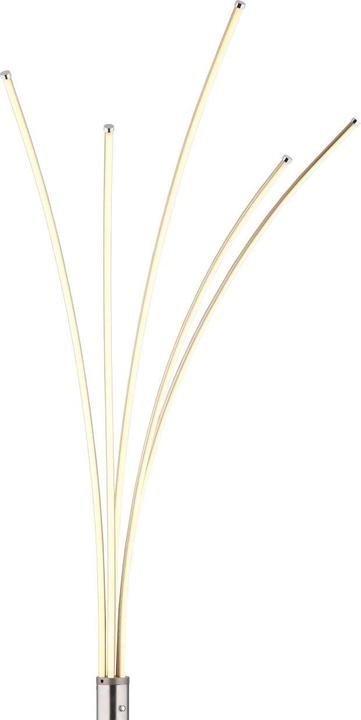 Actual product image Globo Bizzy