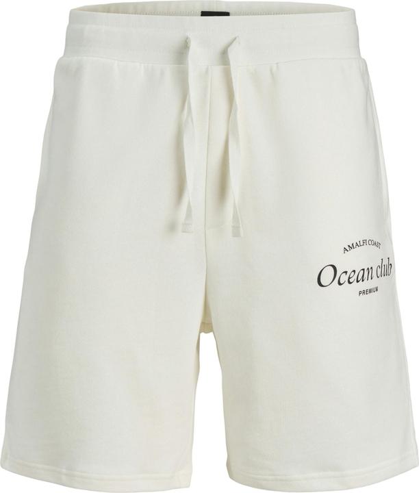 Actual product image Jack & Jones Jprblaocean Club Sweat Shorts (L)