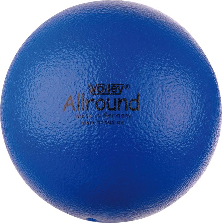 Actual product image Volley Softball